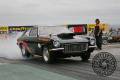 barracuda-photography-MG_3842