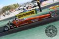 barracuda-photography-MG_4116
