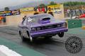 barracuda-photography-MG_3322