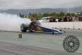 barracuda-photography-MG_3750