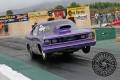 barracuda-photography-MG_3322